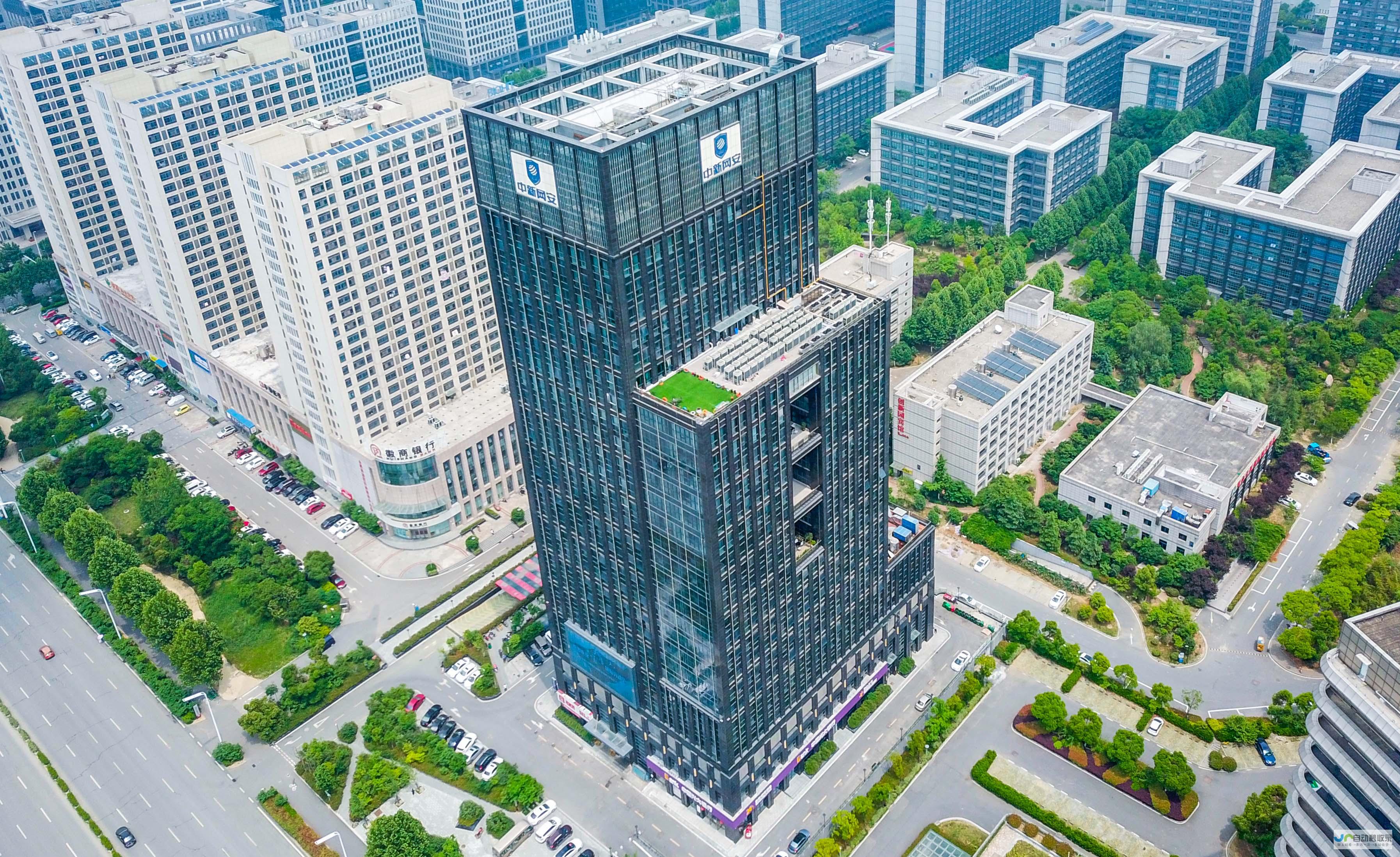 新安网络：连接未来，赋能企业发展