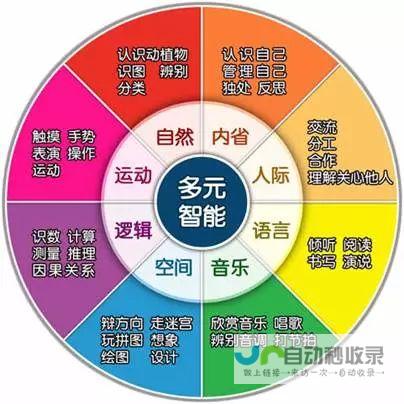 探索多元的网站建设风格，打造专属品牌形象